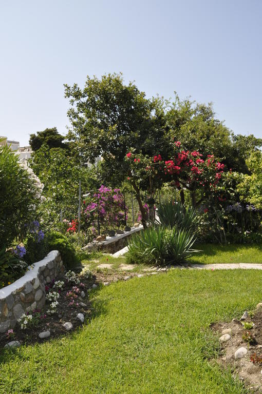 Il Mediterraneo - Adults Only Ponza Ngoại thất bức ảnh