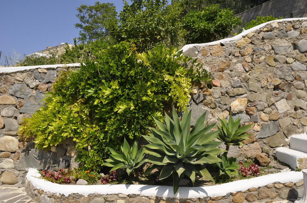 Il Mediterraneo - Adults Only Ponza Ngoại thất bức ảnh